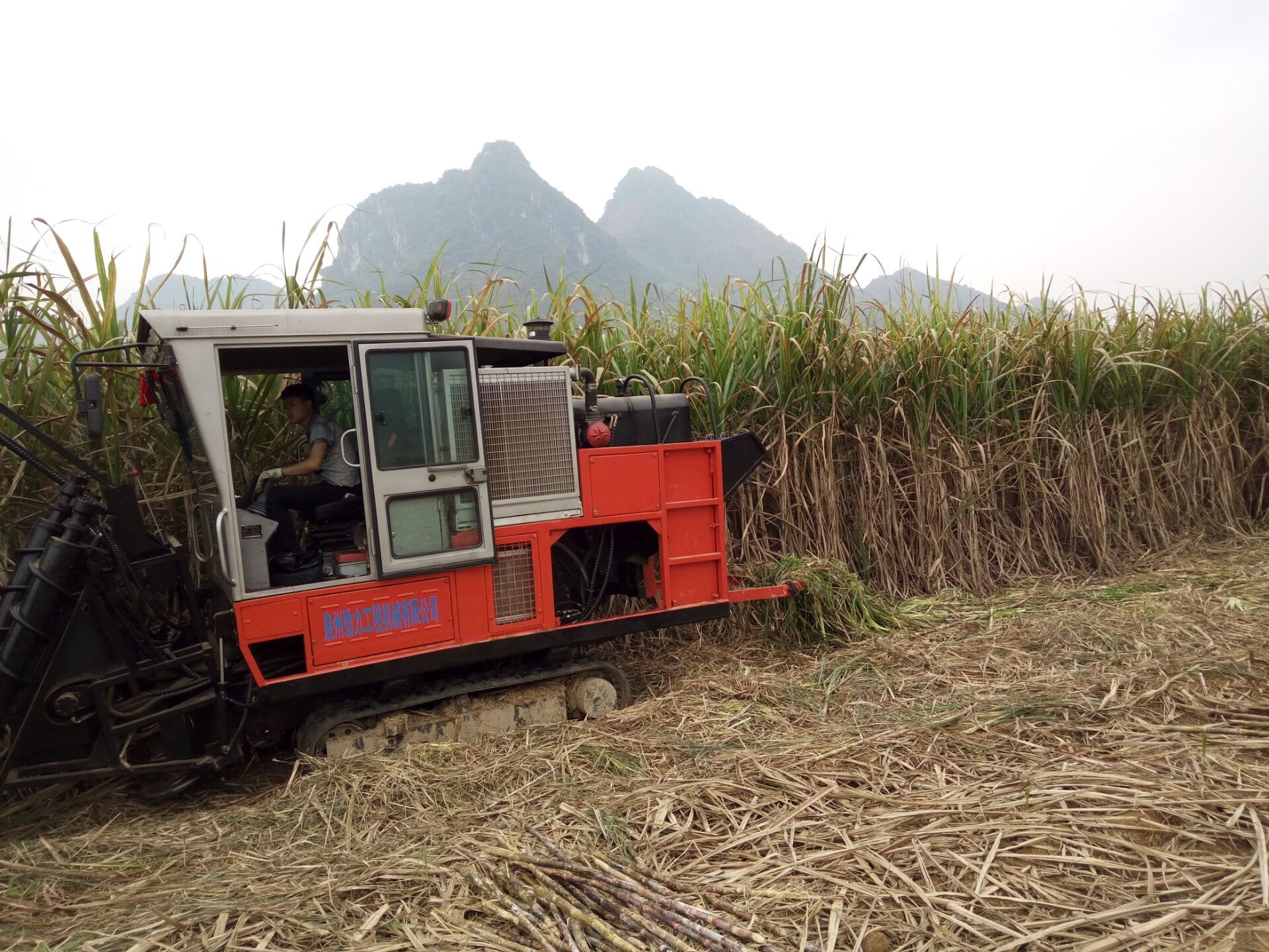 JingGong 4GL-1 tebu harvester menerima pujian dari Filipina pelanggan